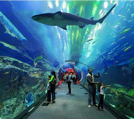 <b>ˮˮóͷϵͳҪ</b>