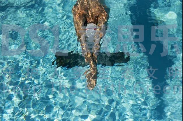 6399²ÊÌìÏÂ(Öйú)¹Ù·½ÍøÕ¾