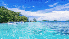 <b>ʲôѡСӾ</b>