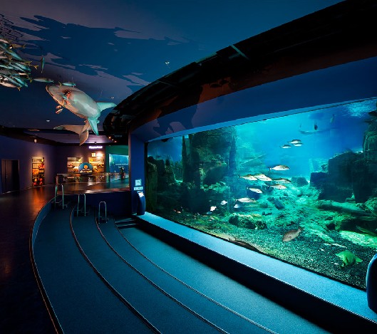 ˮʴóͷװ,ˮˮóͷ,ˮװ