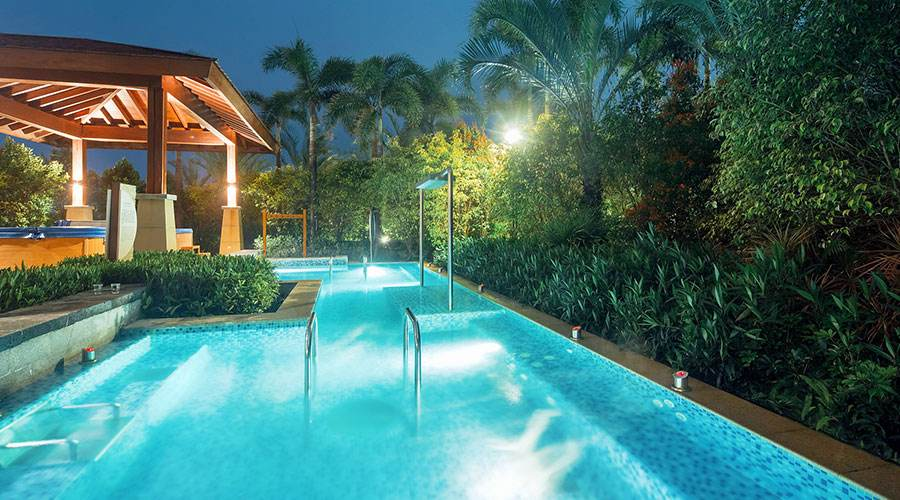 ˽˱뽨ӾӦ˼Щ