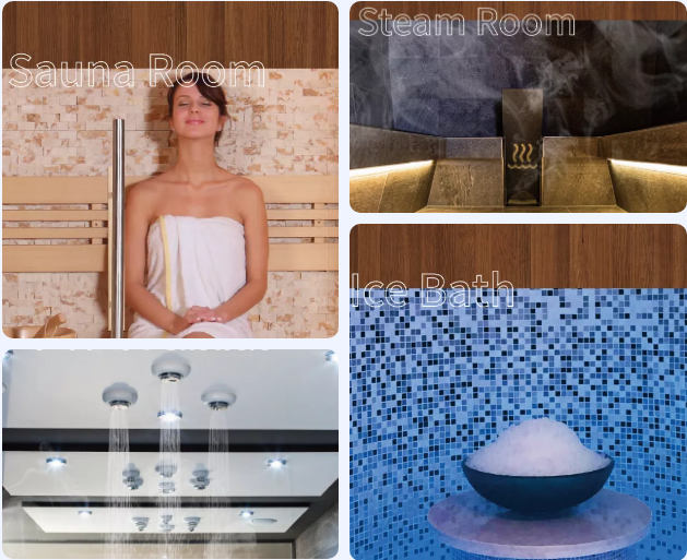 ´÷˼ÀÖ¿µ½¡ÉúÑĹÝ