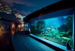 ˮݵĽҪ˼ЩҪЩװ