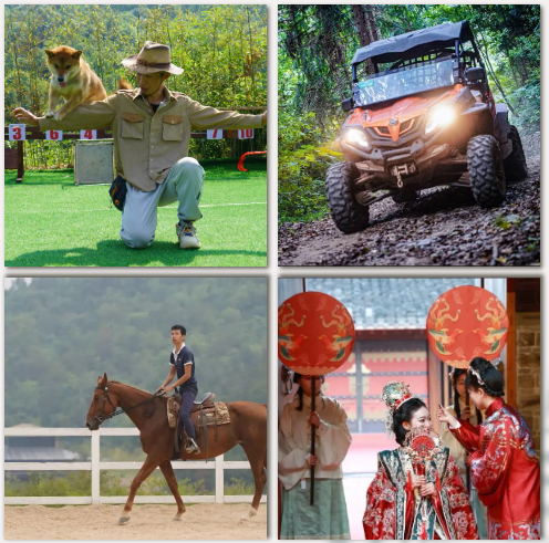 6399彩天下(中国)官方网站