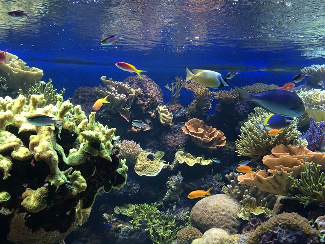 ˮʴóͷ˾,ˮóͷ,ˮʴóͷװ